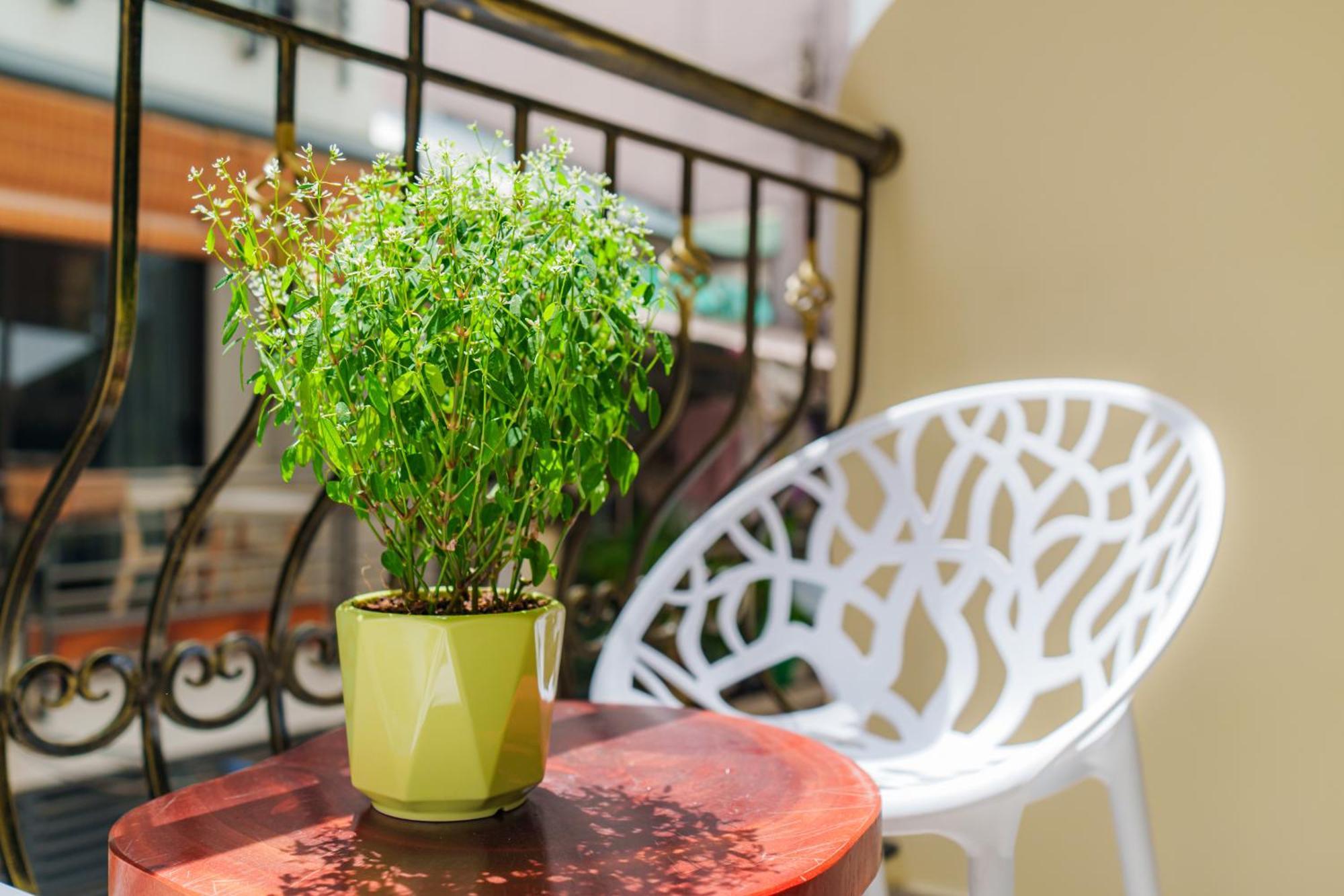 Co Chau Homestay Хошимин Экстерьер фото